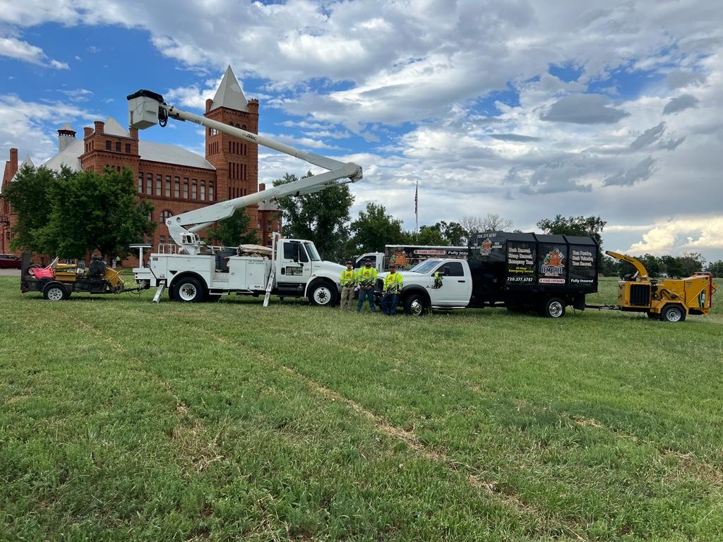 Gallery Tree Services In Denver Co Tree Pruning In Denver Co Bush